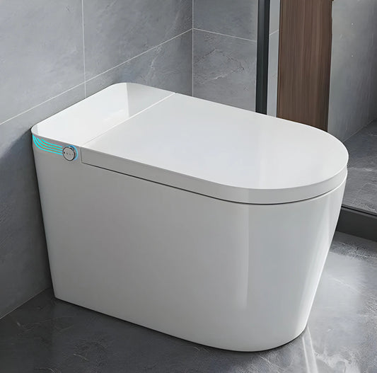 Smart Toilet With Bidet Built In One Piece Heated Seat